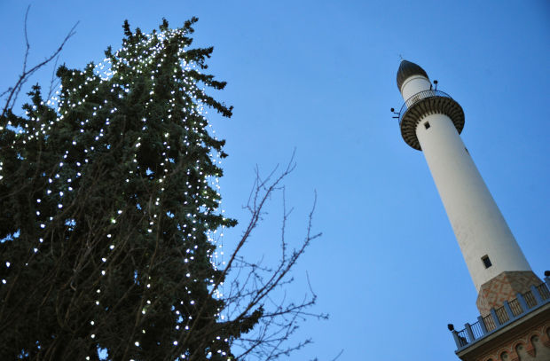 Civic Center Tree 3